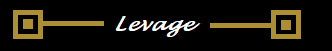 Levage underwear Logo and wording as copyright owned