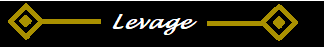 variaion of the Levage logo
