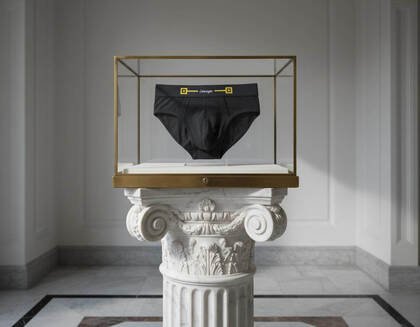 levage underwear in a glass cabinet ontop pedestal